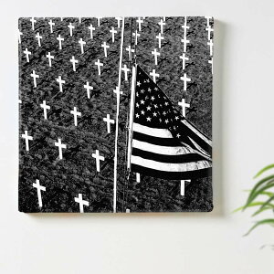 AJ mN \˂̃CeApt@ubNpl t@ubN pl |X^[ {[h Ǌ| A[g G  CeA  30cm×30cm MTCY yԋۏ؁z