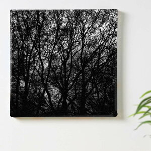 X mN ẽCeApt@ubNpl t@ubN pl |X^[ {[h Ǌ| A[g G  CeA  57cm×57cm LTCY yԋۏ؁z