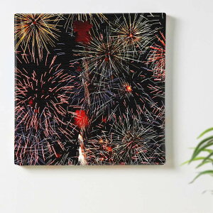 花火 光 空のインテリア用アートパネル ファブリック パネル ポスター ボード 壁掛け アート 絵 おしゃれ インテリア 玄関 57cm×57cm 【返品保証】