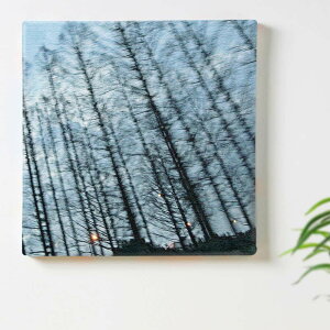   R̃CeApA[gpl t@ubN pl |X^[ {[h Ǌ| A[g G  CeA  30cm×30cm MTCY yԋۏ؁z