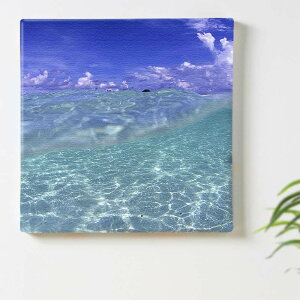 C  u[̃CeApA[gpl t@ubN pl |X^[ {[h Ǌ| A[g G  CeA  57cm×57cm yԋۏ؁z