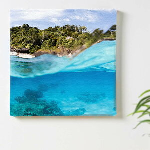 C  ĩCeApA[gpl t@ubN pl |X^[ {[h Ǌ| A[g G  CeA  30cm×30cm MTCY yԕiۏ؁z