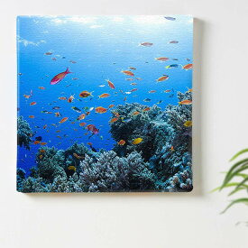 楽天市場 魚 絵 壁掛けの通販