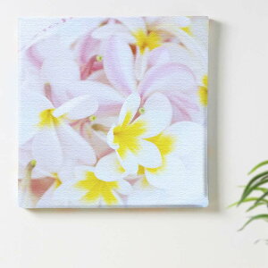 A  R̃CeApt@ubNpl t@ubN pl |X^[ {[h Ǌ| A[g G  CeA  30cm×30cm MTCY yԋۏ؁z