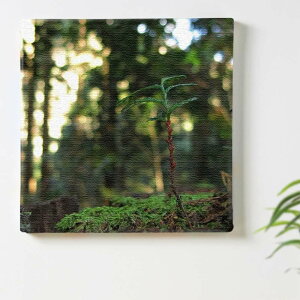 yA[gfziʐ^̃t@ubNpl t@ubN pl |X^[ {[h Ǌ| A[g G  CeA  30cm×30cm MTCY yԋۏ؁z