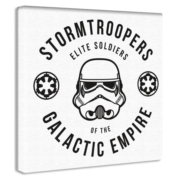 楽天市場 ディズニー スターウォーズ ストームトルーパーのインテリア用ファブリックパネル ファブリック パネル ポスター ボード 壁掛け アート 絵 おしゃれ インテリア 玄関 30cm 30cm Mサイズ 返品保証 インテリア アートパネル Artdeli