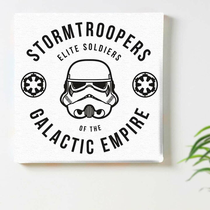 楽天市場 ディズニー スターウォーズ ストームトルーパーのインテリア用ファブリックパネル ファブリック パネル ポスター ボード 壁掛け アート 絵 おしゃれ インテリア 玄関 30cm 30cm Mサイズ 返品保証 インテリア アートパネル Artdeli
