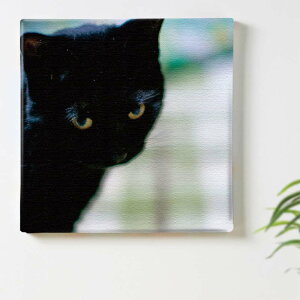 L  uẼCeApt@ubNpl t@ubN pl |X^[ {[h Ǌ| A[g G  CeA  57cm×57cm yԕiۏ؁z