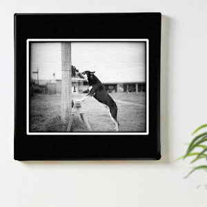 �� ���� ���m�N���̃C���e���A�p�t�@�u���b�N�p�l�� �t�@�u���b�N �p�l�� �|�X�^�[ �{�[�h �Ǌ|�� �A�[�g �G ������� �C���e���A ���� 30cm×30cm M�T�C�Y �y�ԋ��ۏ؁z