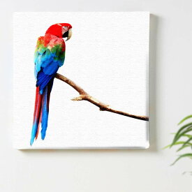 楽天市場 インコ アートパネル アートボード 壁紙 装飾フィルム インテリア 寝具 収納の通販 楽天市場 インコ アートパネル アートボード 壁紙 装飾フィルム インテリア 寝具 収納の通販