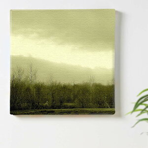 X̎ʐ^̃CeA@ʐ^@A[g pho-0072-l-L 57cm×57cm