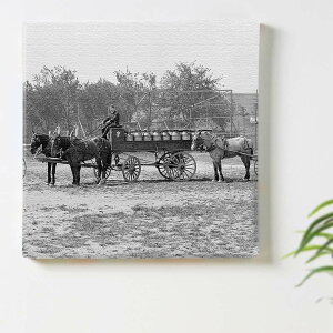 �n ���� �A�[�g�p�l�� 30cm × 30cm ���{�� �|�X�^�[ ������� �C���e���A �͗l�ւ� ���r���O ���� ���m�N�� ���R ���i �t�@�u���b�N�p�l�� pho-0074-l