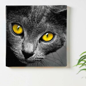 L  ubÑCeApA[gpl t@ubN pl |X^[ {[h Ǌ| A[g G  CeA  30cm×30cm MTCY yԕiۏ؁z