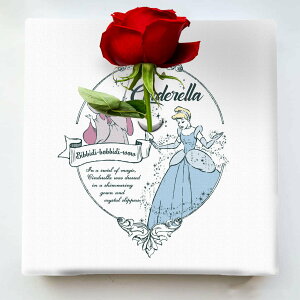 yfBYj[zyr[10OFFN[|zԕrtI__󒍂Ă^S߂Đ@xM[YLoXgpyA[gfz VfIKEBANA ĂCeA 20×20×2.7cm