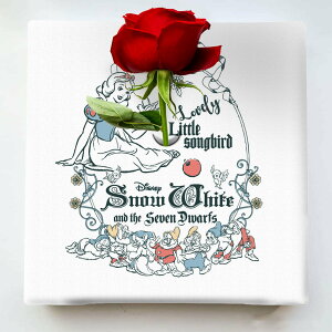 yfBYj[zyr[10OFFN[|zԕrtI__󒍂Ă^S߂Đ@xM[YLoXgpyA[gfz PIKEBANA ĂCeA 20×20×2.7cm 