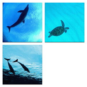 yA[gfzC̎ʐ^̃A[gplZbg CeA G A[g mur-0002_mur-0004_pho-0031t@ubN pl |X^[ {[h Ǌ| A[g G  CeA  30cm×30cm MTCY