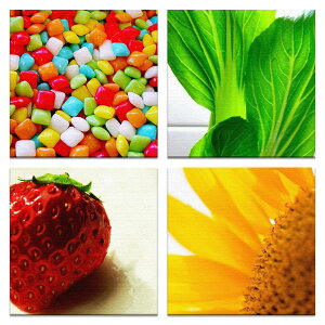 yA[gfzr^~J[̃A[gplZbg CeA G A[g pho-0001_pho-0002_pho-0010_pho-0011t@ubN pl |X^[ {[h Ǌ| A[g G  CeA  30c