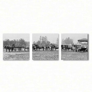 yA[gfznԐX̎ʐ^gCeAplZbg@ʐ^@Ǌ|t@ubN pl |X^[ {[h Ǌ| A[g G  CeA  30cm×30cm MTCY 3 Zbg 