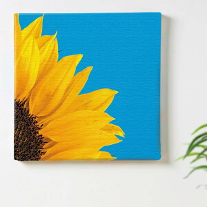 yA[gfzԂ̃A[gpl CeAG A[gpl LoX Ђ܂ u[ poht-2205-07 30cm×30cm MTCY