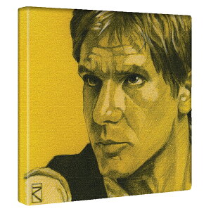 yfBYj[zX^[EH[Y n\̃CeApA[gpl t@ubN pl |X^[ {[h Ǌ| A[g G  CeA  30cm×30cm MTCY yԋۏ؁z