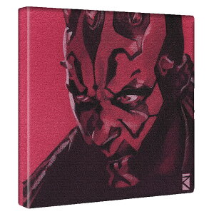 yfBYj[zX^[EH[Y l̃CeApA[gpl t@ubN pl |X^[ {[h Ǌ| A[g G  CeA  30cm×30cm MTCY yԋۏ؁z