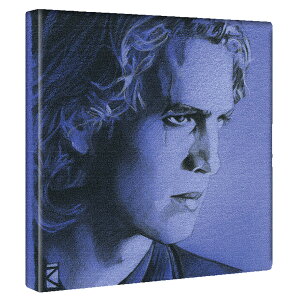 yfBYj[zX^[EH[Y ATLXJCEH[J[̃CeApt@ubNpl t@ubN pl |X^[ {[h Ǌ| A[g G  CeA  30cm×30cm MT