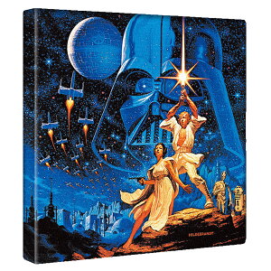 yfBYj[zX^[EH[Y F̃CeApt@ubNpl t@ubN pl |X^[ {[h Ǌ| A[g G  CeA  30cm×30cmyԕiۏ؁z