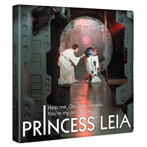 yfBYj[zX^[EH[Y F̃CeApt@ubNpl t@ubN pl |X^[ {[h Ǌ| A[g G  CeA  30cm×30cm MTCY yԕiۏ؁z