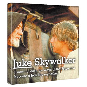 yfBYj[zX^[EH[Y [NXJCEH[J[̃CeApt@ubNpl t@ubN pl |X^[ {[h Ǌ| A[g G  CeA  30cm×30cmyԕi