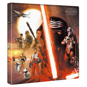 yfBYj[zSTARWARS/tH[X̊õA[gpl@G݁@CeA t@ubN pl |X^[ {[h Ǌ| A[g G  CeA  30cm×30cmyԋۏ؁z