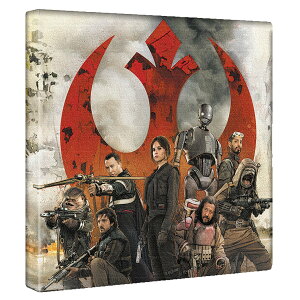 yfBYj[z X^[EH[Y30cm×30cm [ÕCeApA[gpl t@ubN pl |X^[ {[h Ǌ| A[g G  CeA ցyԋۏ؁z