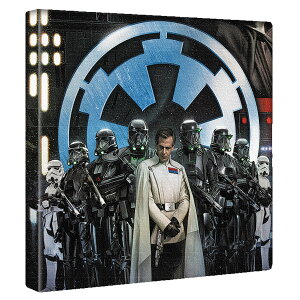 yfBYj[zX^[EH[Y30cm×30cm [ÕCeApt@ubNpl t@ubN pl |X^[ {[h Ǌ| A[g G  CeA ցyԕiۏ؁z