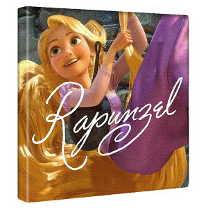 r[10OFFN[|yvcFzfBYj[vZXyCZXz̏̃vcF̃CeApt@ubNpl t@ubN pl |X^[ {[h Ǌ|