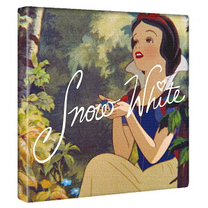 yA[gfzP̃A[gpl Xm[zCg t@ubN {[h fBYj[dsn-0299 t@ubN pl |X^[ {[h Ǌ| A[g G  CeA  30cm×30cm MT