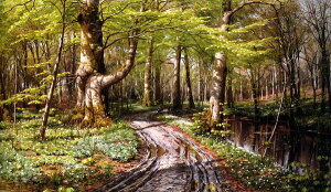 G Monstead Peder Mork_ X̐@ma783