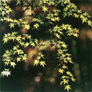 G@Jオ̐݂iJ̎j@nh231