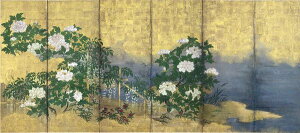 G@ẲԁX}iOAccWAj nh248