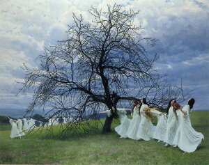 ���G Maximilian Lenz�̖���_ �t�̉́@MA562