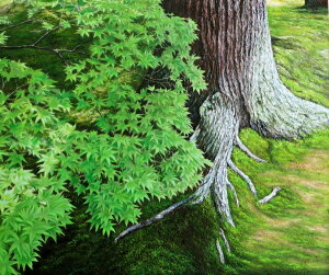 G V̏āE݂Ƒہ@MA2881