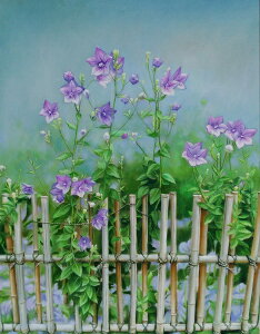 G V̏_j[iLLEj@MA2875