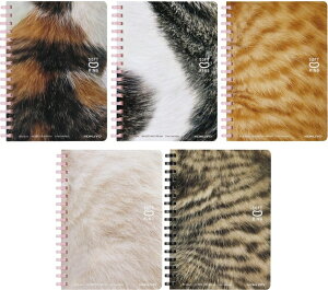 RN@10NLO \tgOm[g@ՂɂՂɎq˂@A6 TCY@OєL To g LWg