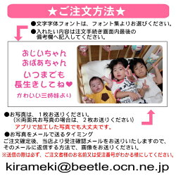 オリジナル写真入りマグカップ【誕生日プレゼント還暦祝い退職祝い昇進祝い敬老の日父の日ギフト還暦祝い古希喜寿傘寿米寿祝い新築祝い就職祝い開業祝い内祝い贈り物両親父母女友達卒業記念品結婚祝い誕生日プレゼント女性/誕生日プレゼント男性】