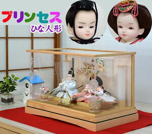 ���������N��̂��킢�����l�`�y�v�����Z�X���l�`�z�i�`�����������@�P�[�X�Z�b�g (CS-222A-38)