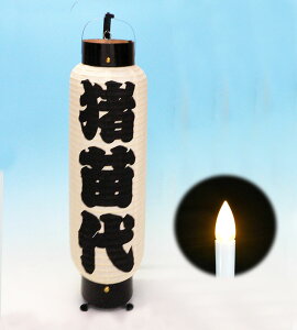 |񓔁@p[LEDdriPxj@]˒񓔁@hHς݁@I[_[[h@ĕEc^@|̋|