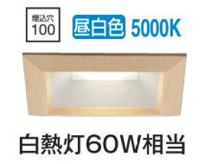 [J[i d@ p^x[X_ECg DDL5041WTG  F 100 M60W HKv