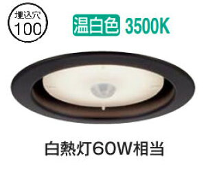 y~10/17 9:59܂ Gg[őSi|Cg10{z[J[i d@ lZT[t_ECg DDL5577AB F HKv