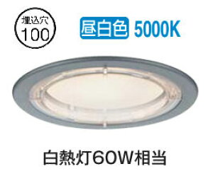 ����d�@ �����p�_�E�����C�g DOL5595WS �����F �H���K�v