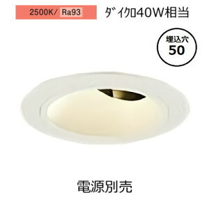 d@ jo[T_ECg{ LZD-93739RWN 50 _CN40W 2500K F dʔ HKv