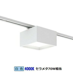 [J[iƖ _Ng[pXNGAV[OCg  EFG5438W