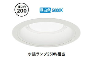 �����Ɩ� �����p�_�E�����C�g(���j�b�g�ʔ�)ERD10017W �H���K�v
